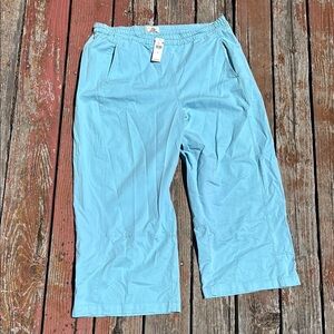 Pilcro Light Blue Barrel Leg Pants